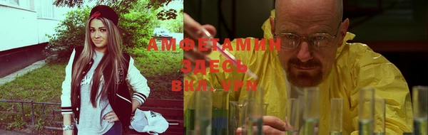 прущие грибы Аркадак