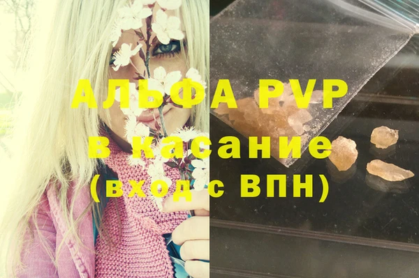 крисы Армянск