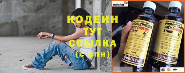 крисы Армянск