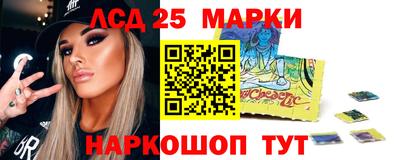 стаф Тула