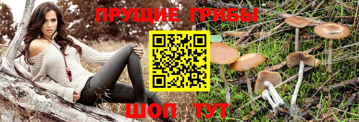 Псилоцибиновые грибы ЛСД Темрюк