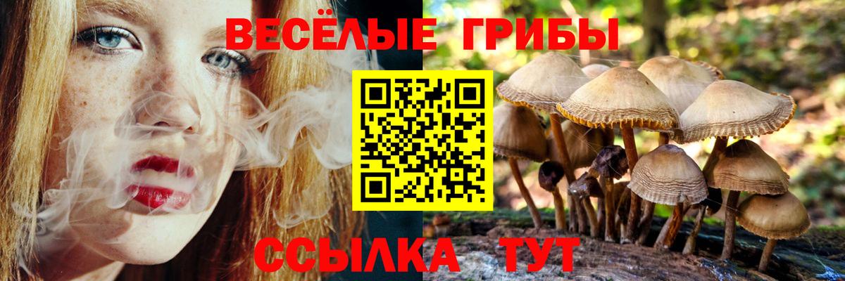 Темрюк  Псилоцибиновые грибы Psilocybe  Вход с VPN 